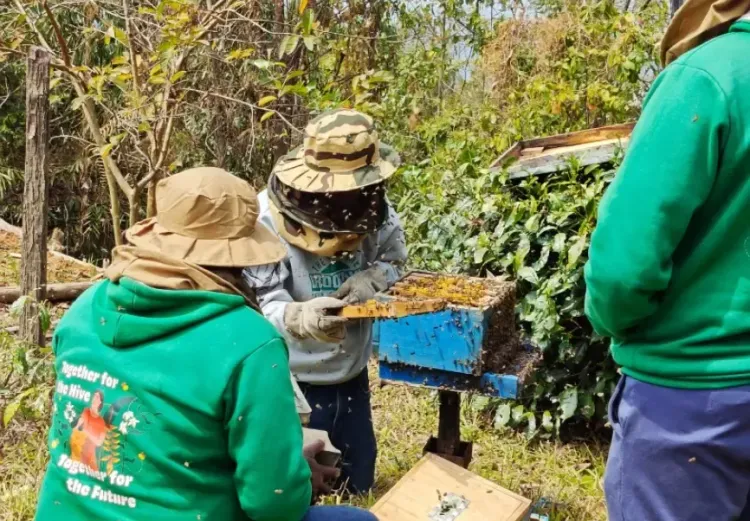 तामेंगलोंग जिला: पीएम धन धान्य योजना के तहत शहद उत्पादन में नई क्रांति लाने की तैयारी, 1000 लीटर मासिक लक्ष्य