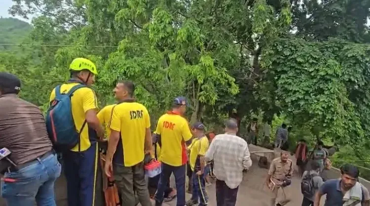 What Happened in the Mansa Devi Stampede? 13 Critical Injuries Reported