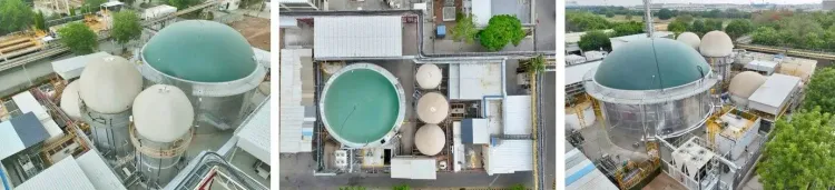 Maruti Suzuki invests ₹150 crore in biogas projects on World Environment Day