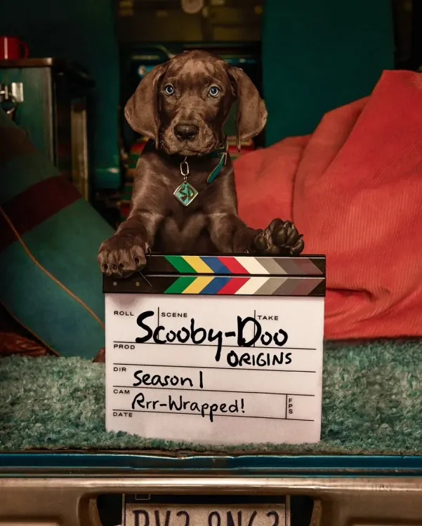 Scooby-Doo: Origins wraps filming; Netflix release set for 2027