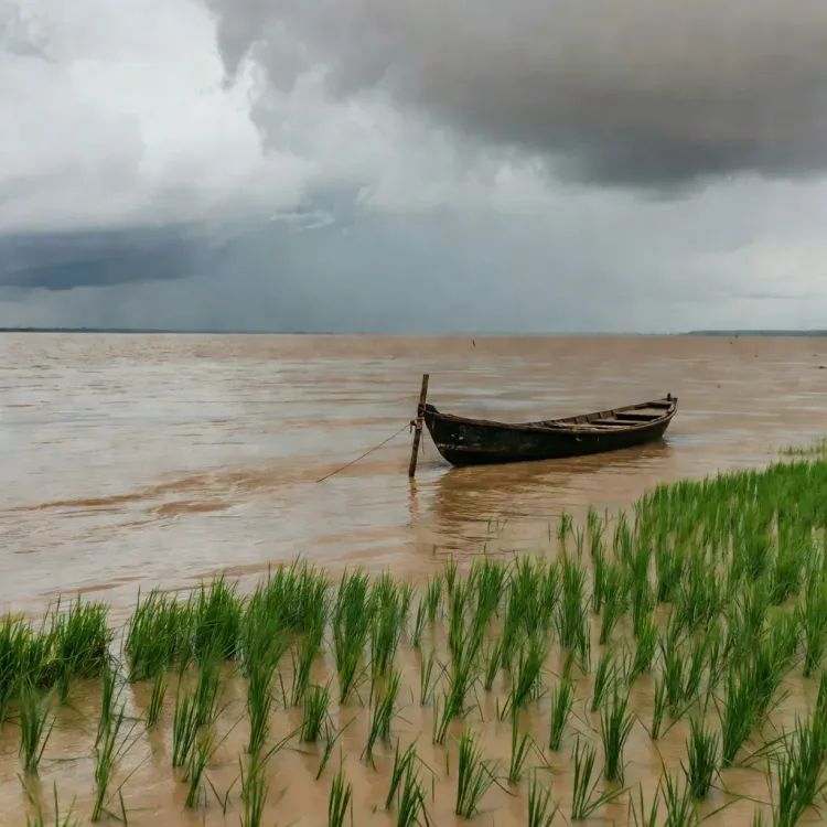 CM Himanta Confirms Assam Flood Death Toll at 62