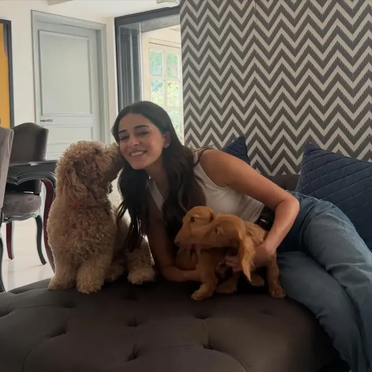 Ananya Panday shares cuddle time with three fur babies, introduces Honey and Lemon
