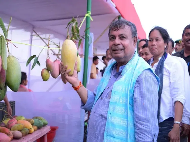Tripura to expand mango cultivation by 55 hectares in Dhalai district