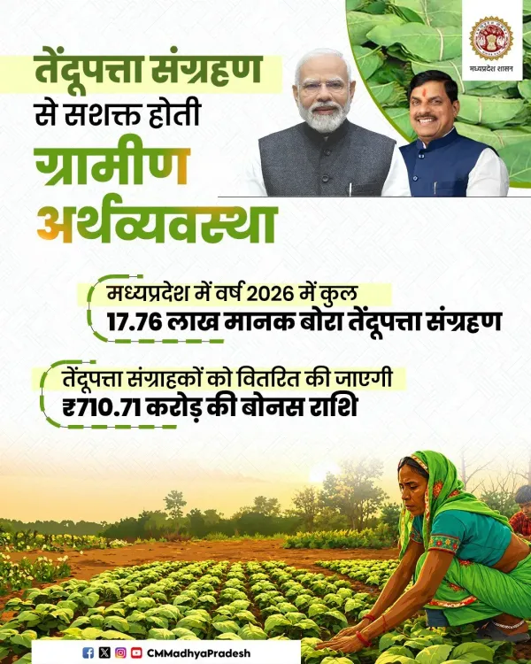 MP CM Office Announces ₹710.71 Cr Bonus for Tendu Leaf Collectors