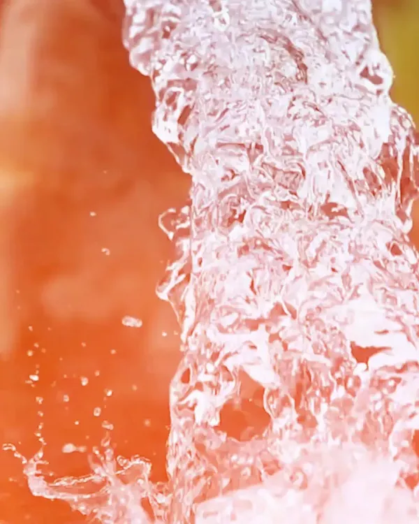 MP CM Office Launches Jal Ganga Sanvardhan Abhiyan on Ganga Dussehra