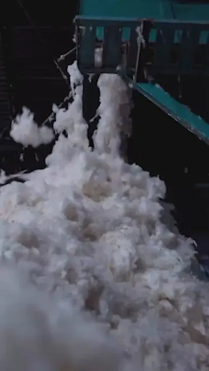 MP CMO: Organic Cotton to Textile Industry Drive