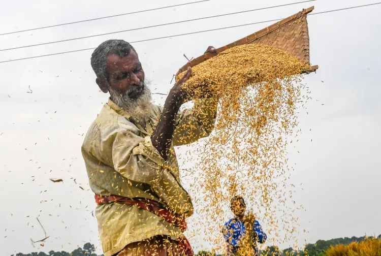 MP distributes 74.31 lakh MT of free food grains under PMGKAY since Dec 2023