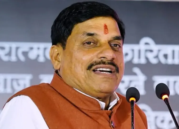 What to Expect at the Week-long Forest Fair Starting December 17?