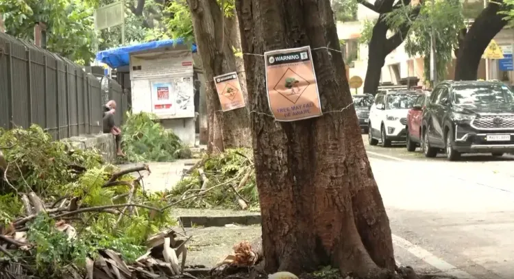 मुंबई में मानसून पेड़ हादसे: 1 जून से 5 से अधिक मौतें, BMC के पोस्टर अभियान पर नागरिकों के सवाल