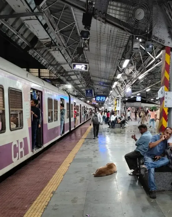 क्या मुंब्रा ट्रेन हादसे में इंजीनियरों की लापरवाही है?