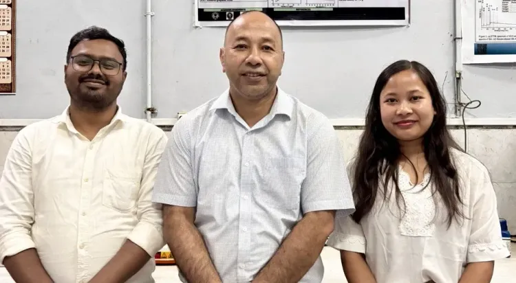 Has Nagaland University Developed a Cost-Effective Material for Energy Storage Devices?