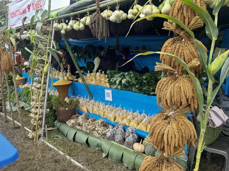 Kezoma village revives millet farming via mechanisation, double-season harvest in Nagaland