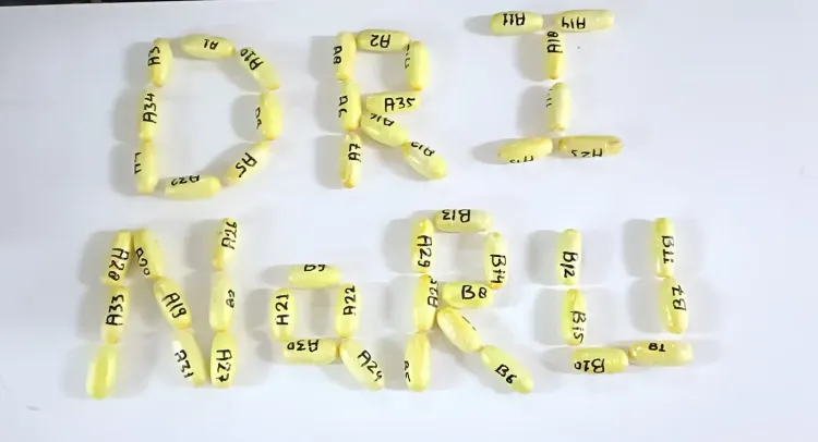 नागपुर में डीआरआई ने की महत्वपूर्ण कार्रवाई, 853 ग्राम कोकीन की बरामदगी और एक महिला की गिरफ्तारी