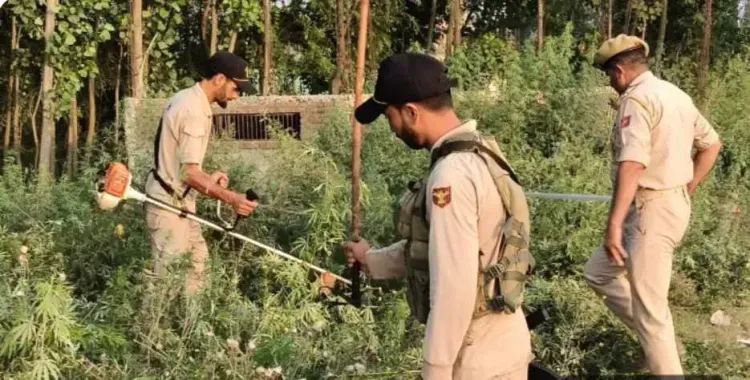 नशा मुक्त जम्मू-कश्मीर अभियान के 100 दिन: बारामूला पुलिस ने 53 गिरफ्तार किए, 42 मामले दर्ज