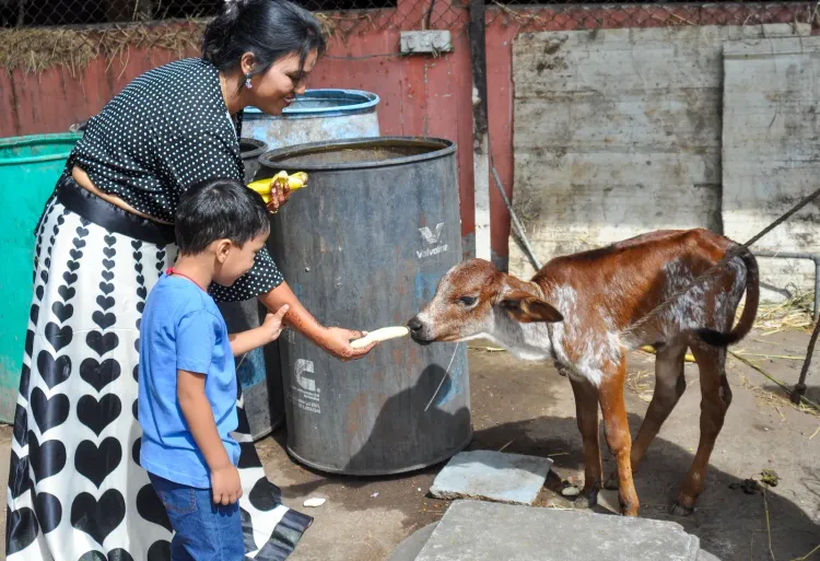 Cow as national animal: Iqbal Ansari, Hindu seers back Jamiat chief's call