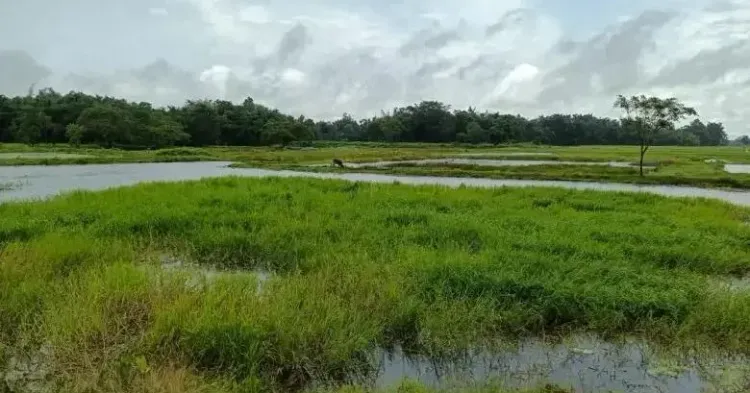 NBA grants Biodiversity Heritage Site tag to Assam's Borjuli