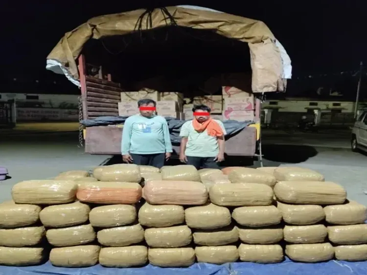 NCB busts Maharashtra drug network, seizes 702 kg ganja, arrests 2 traffickers