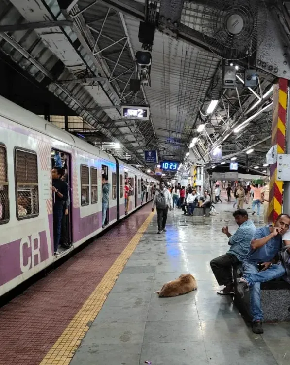 नीट री-एग्जाम 2025: मुंबई में 1,820 लोकल ट्रेनें नियमित, 13 स्टेशनों पर हेल्प डेस्क तैनात