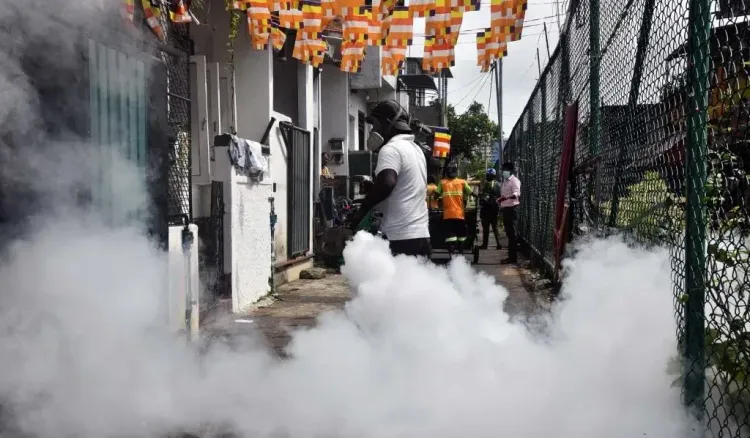 New dengue strain in Sri Lanka raises infection risk; prevention week begins June 15