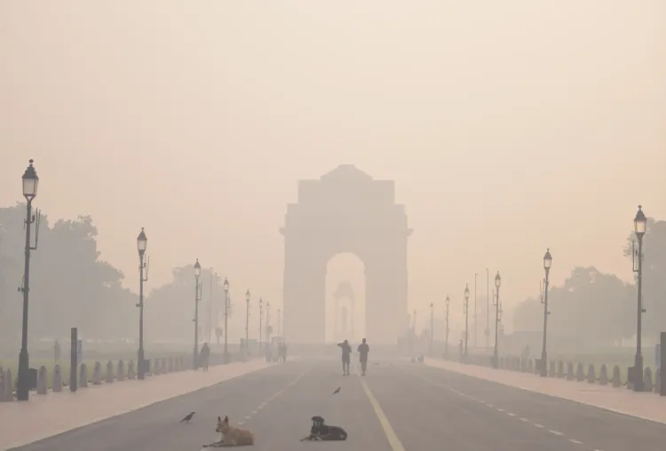Is This New Pocket-Sized Sensor Capable of Detecting Asthma and Lung Damage Caused by Sulphur Dioxide?