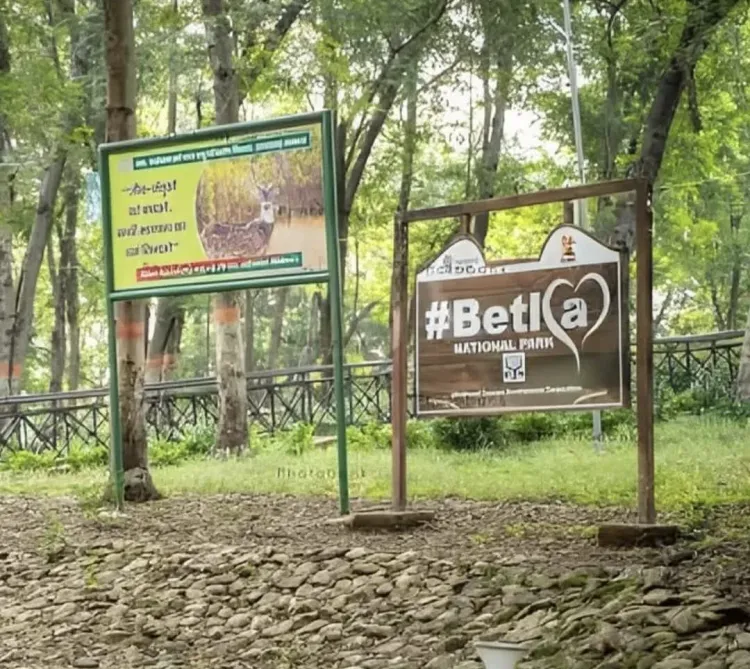 NGT issues notice on Palamu Tiger Reserve, Netarhat eco-sensitive zone construction