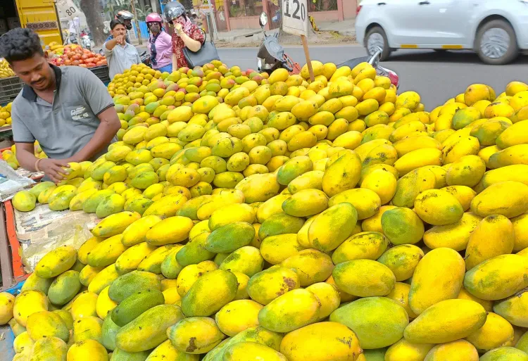 India-Nepal mango trade: No ban in place, says Agriculture Ministry
