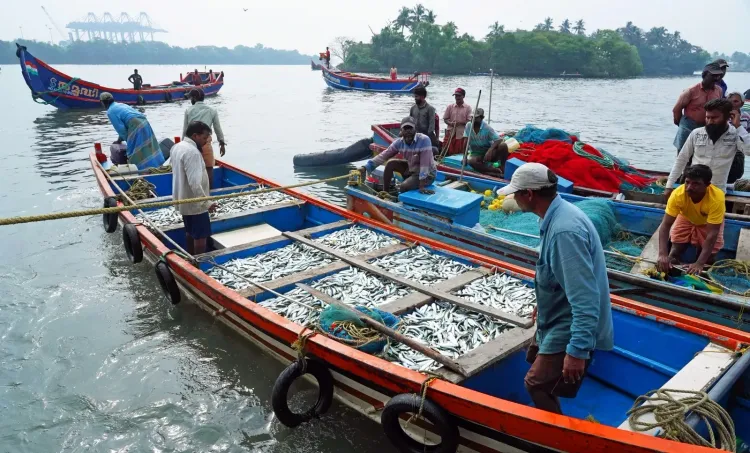 Kerala fish prices set to rise as 52-day trawling ban begins June 9