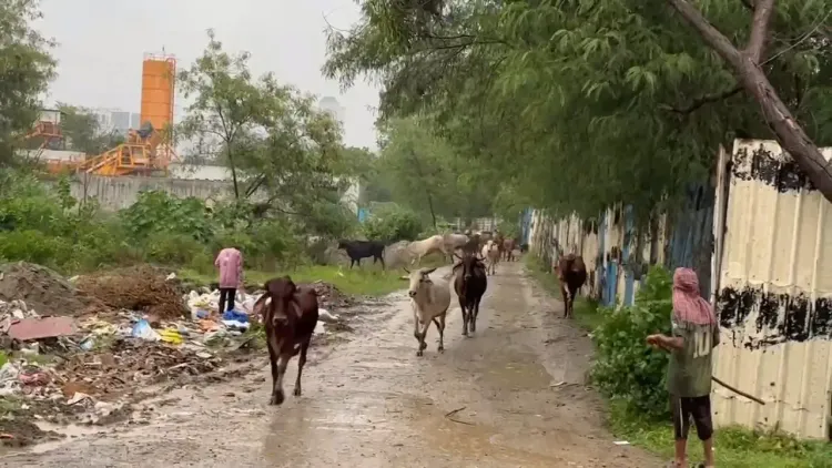 क्या नोएडा में यमुना खतरे के निशान से ऊपर जा चुकी है?