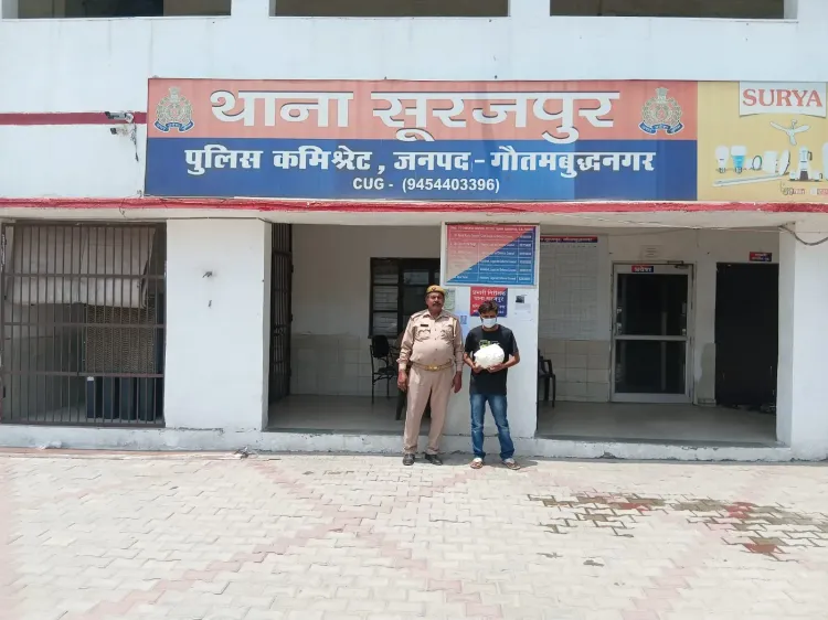 नोएडा में 63 किलो गांजा बरामद, तीन अंतर्राज्यीय तस्कर गिरफ्तार; ₹16 लाख की खेप नष्ट