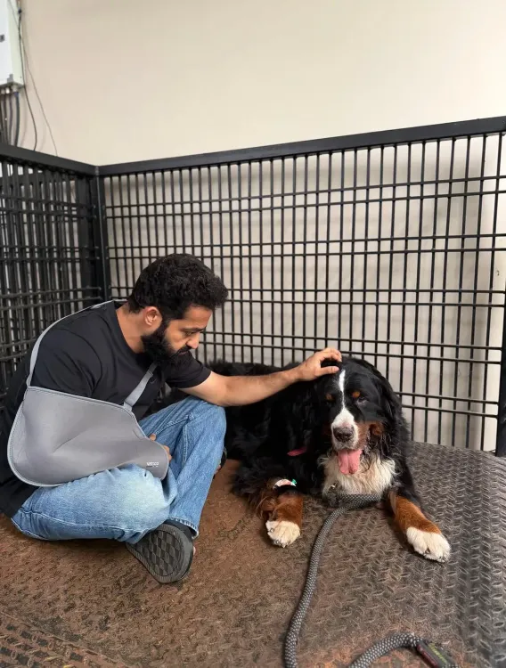 NTR Jr mourns pet Bagheera: 'Your absence leaves a silence'