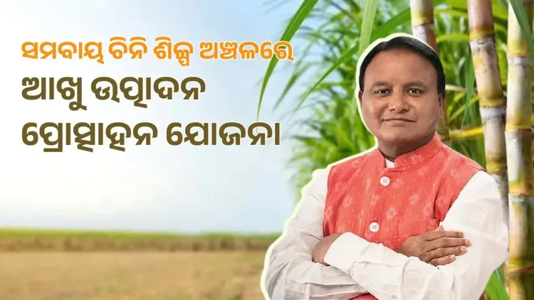 Odisha CM Launches Rs 15,000/Acre Sugarcane Input Subsidy Scheme