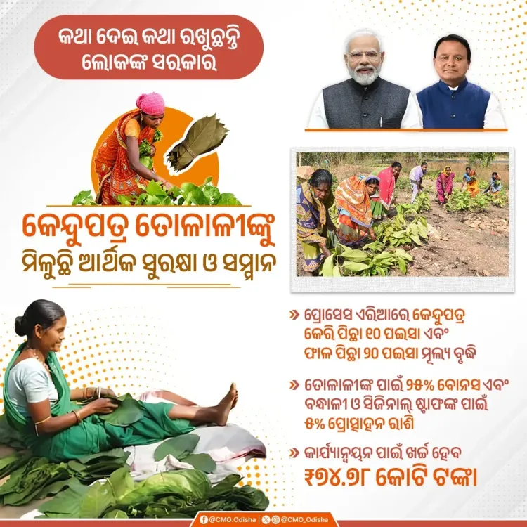 Odisha CM Majhi boosts kendu leaf workers with Rs 74.78 cr package