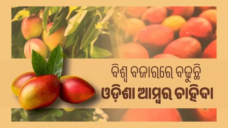 Odisha CMO hails PM Modi's Mann Ki Baat nod to Subarnarekha mango