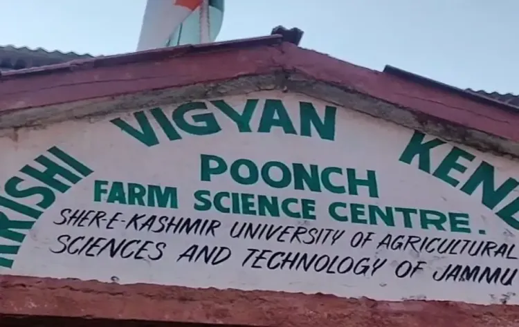 Is Organic Farming Gaining Traction in Poonch?