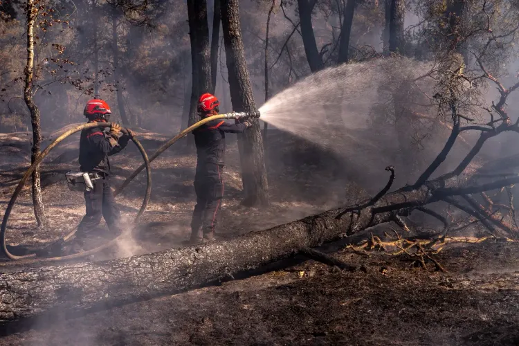 France wildfires: Over 220,000 evacuated in Gironde as 42,000 hectares burn