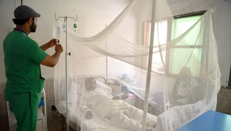 What Led to the Dismissal of 12 Anti-Dengue Workers in Rawalpindi?