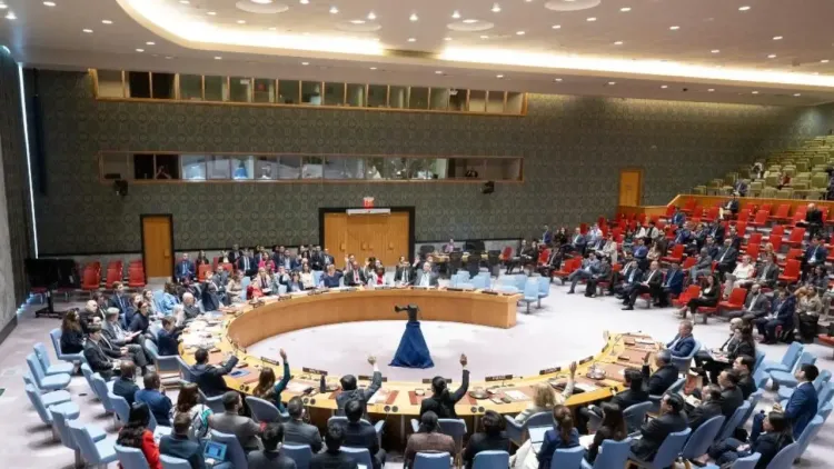 Pakistan joins Security Council in 2025; will get virtual veto on designating terrorists 