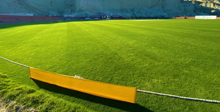 क्या पाकिस्तानी मूल के क्रिकेटर का दावा झूठा है?