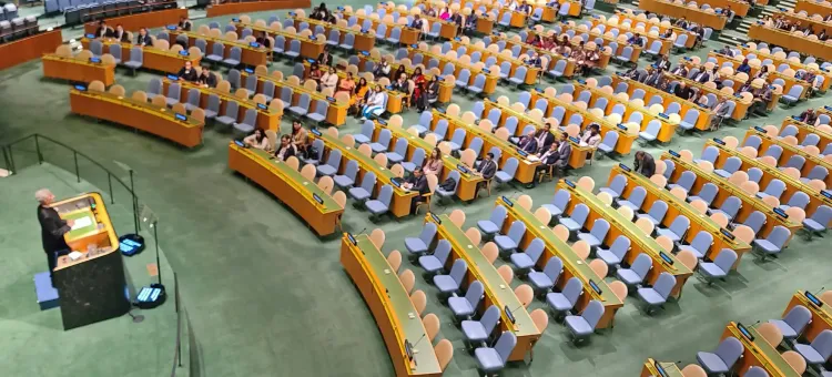 Is Palestine the Center of Attention at the UNGA Session?