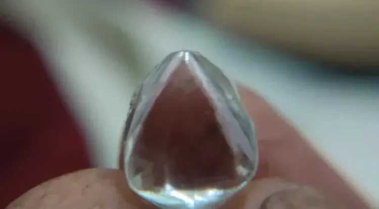 Panna labourer Rakesh Gond finds 11.19-carat diamond worth ₹40 lakh