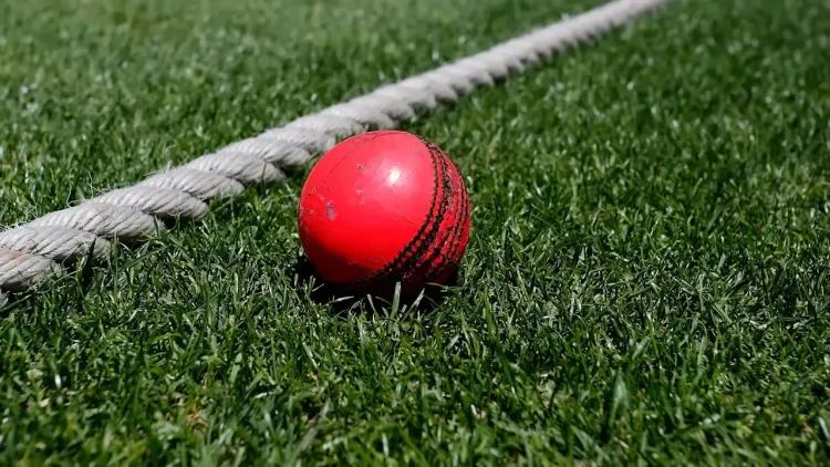 ICC Playing Conditions 2025: Pink ball in day Tests, time-wasting penalties among key changes