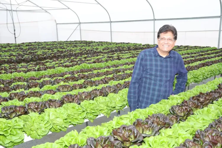 What Did Piyush Goyal Discover About Mobility Tech and Sustainable Agriculture in Israel?