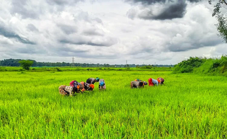 Is PKVY Revolutionizing Organic Farming in India?