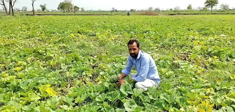 पीएम किसान सम्मान निधि योजना 2030-31 तक बढ़ाई गई, हरियाणा के किसानों ने किया स्वागत
