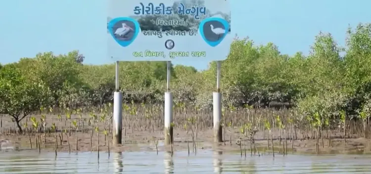 How is PM Modi Recognizing Gujarat's Environmental Achievements?