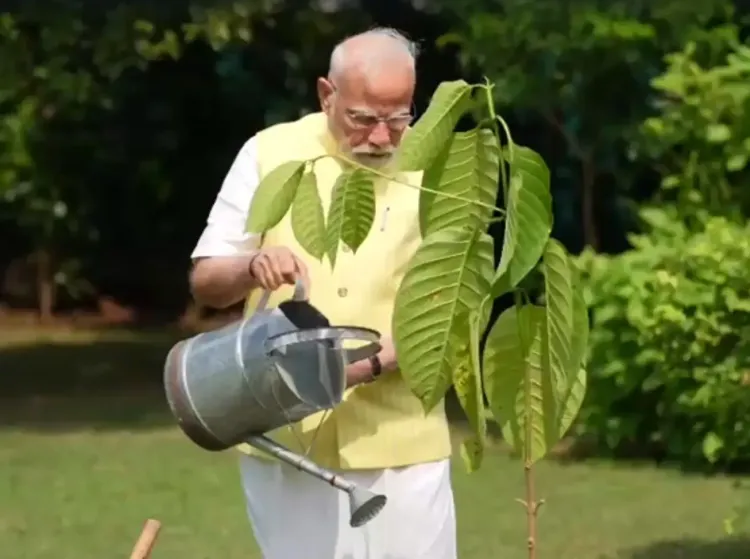Did PM Modi Plant a Kadamb Sapling Gifted by King Charles?
