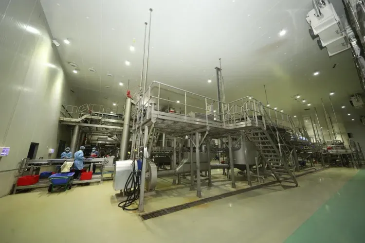 PM Modi to Inaugurate Potato Processing Plant Expansion in Banaskantha