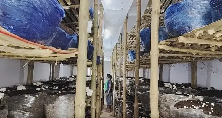 पीएमएफएमई योजना से शेखपुरा के संजीत वर्णवाल का मशरूम कारोबार, 10 से अधिक को दे रहे रोज़गार