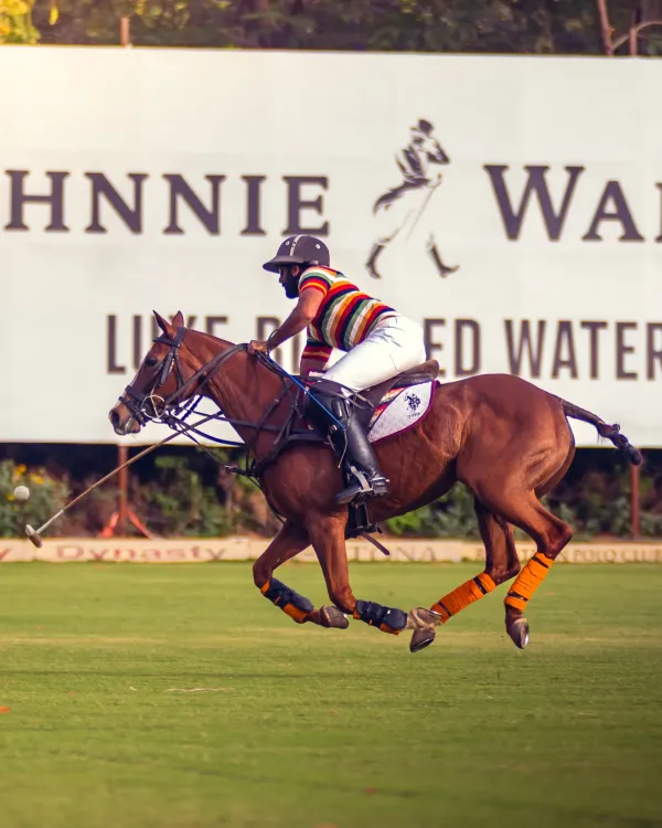 Jaipur Polo Team Triumphs Over Nahargarh in Shree Cement Cup
