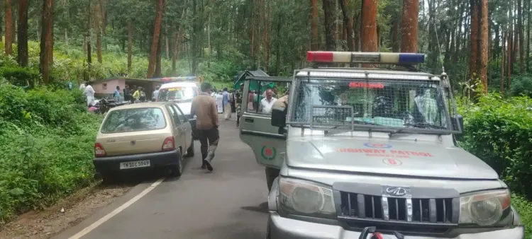 Is Human Encroachment Causing Deadly Wild Elephant Attacks in Gudalur?
